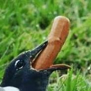 Pahoinvointi-Eemi's Stream profile image