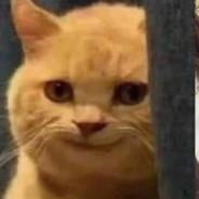 k0ndEr25's Stream profile image