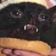 PuppetPonguin's Stream profile image
