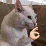 Rafaellomo's Stream profile image