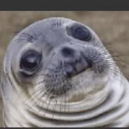 Domino Jachaś's Stream profile image