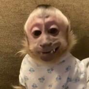 Fahkeed's Stream profile image