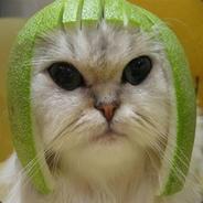 Juan's Stream profile image