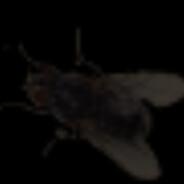 F!ash#'s Stream profile image