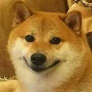 SamDogePaz's Stream profile image