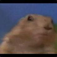 Puntinho's Stream profile image
