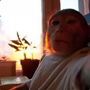 tarariketevi's Stream profile image
