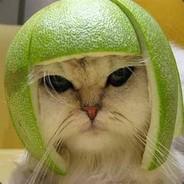 Der Arzt's Stream profile image