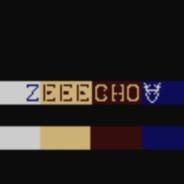 Zeeecho's Stream profile image
