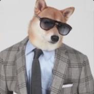 Gstar☆Ludi ツ's Stream profile image