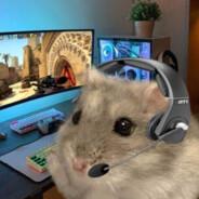 Hamti's Stream profile image