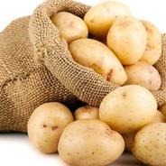 PATATE A TARTINER's Stream profile image