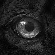ROCKAFÄLLA's - Steam avatar