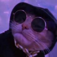 ardeiuts's Stream profile image