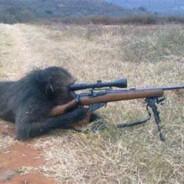 Sniper_Monkey's Stream profile image