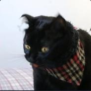 saam's - Steam avatar