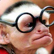 fatboy's Stream profile image
