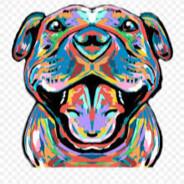 Kauser32's Stream profile image