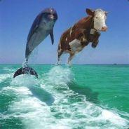 TheLowercasee's - Steam avatar