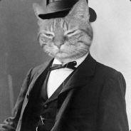 paolobertu98's Stream profile image