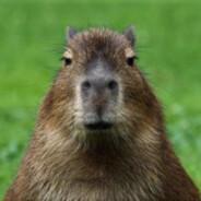 Cecil George Edwards's Stream profile image