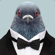 鸽子先生's Stream profile image