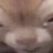 Pinhasnow's Stream profile image