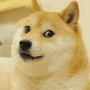 agacar's Stream profile image