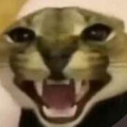 TortillaJackson's - Steam avatar