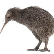 ElKiwi's Stream profile image