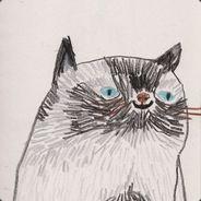 swEn's Stream profile image