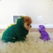 SweetBabyG's - Steam avatar