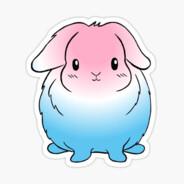 david.logghe's Stream profile image
