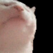 kdawg's Stream profile image