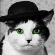 DERPUS MAXIMUS's Stream profile image