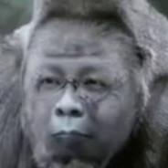 Chill Guy's Stream profile image
