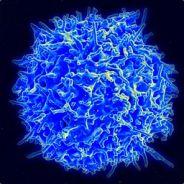 Dam30n's Stream profile image