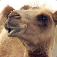 dampfschnecke's Stream profile image