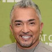 Cesar Millan's - Steam avatar