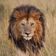 Shtangla's Stream profile image