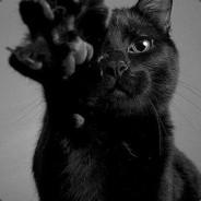 alfonseins's Stream profile image