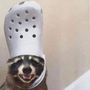 FareHL's Stream profile image