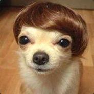 Janiels's - Steam avatar