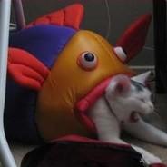 Búlafo's Stream profile image