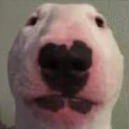 Gustavo𒉭's Stream profile image
