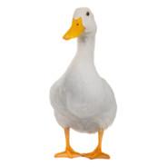 PatataRampanteMeccanizzata's Stream profile image