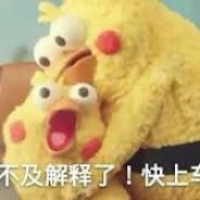 細菌流偉大復興's Stream profile image