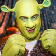 Graf Schlegel's Stream profile image
