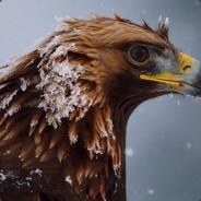 carlangaz007's - Steam avatar