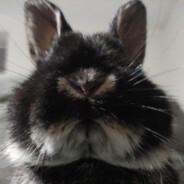 _ghost_of_you_'s Stream profile image